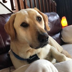 Meet your Posher, Melinda